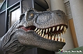 VBS_0875 - Dinosauri. Terra dei giganti